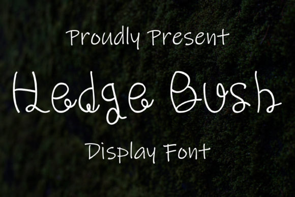 Hedge Bush Font: A Creative Typeface for Editorial Design