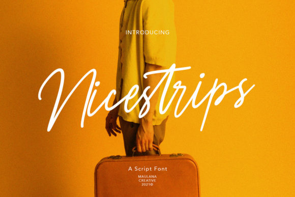 Nicestrips Font: A Designer’s Go-To Script for Branding Projects