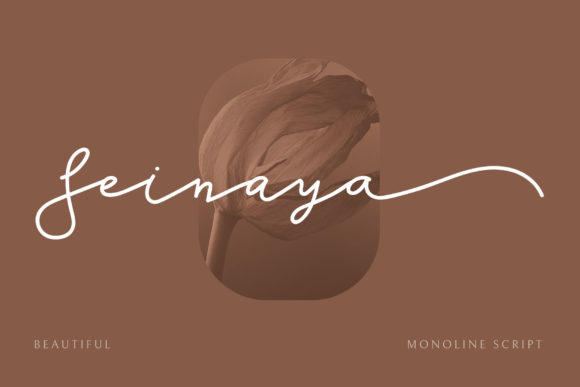 Seinaya Font: Elevate Your Brand with Classy Script Typography