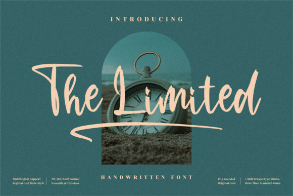 The Limited Font for Elegant Branding